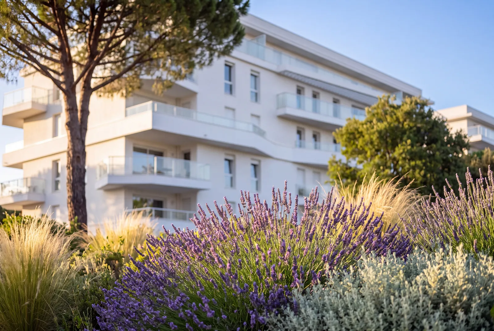 LNC Romain Rolland, Marseille 9e · perspective